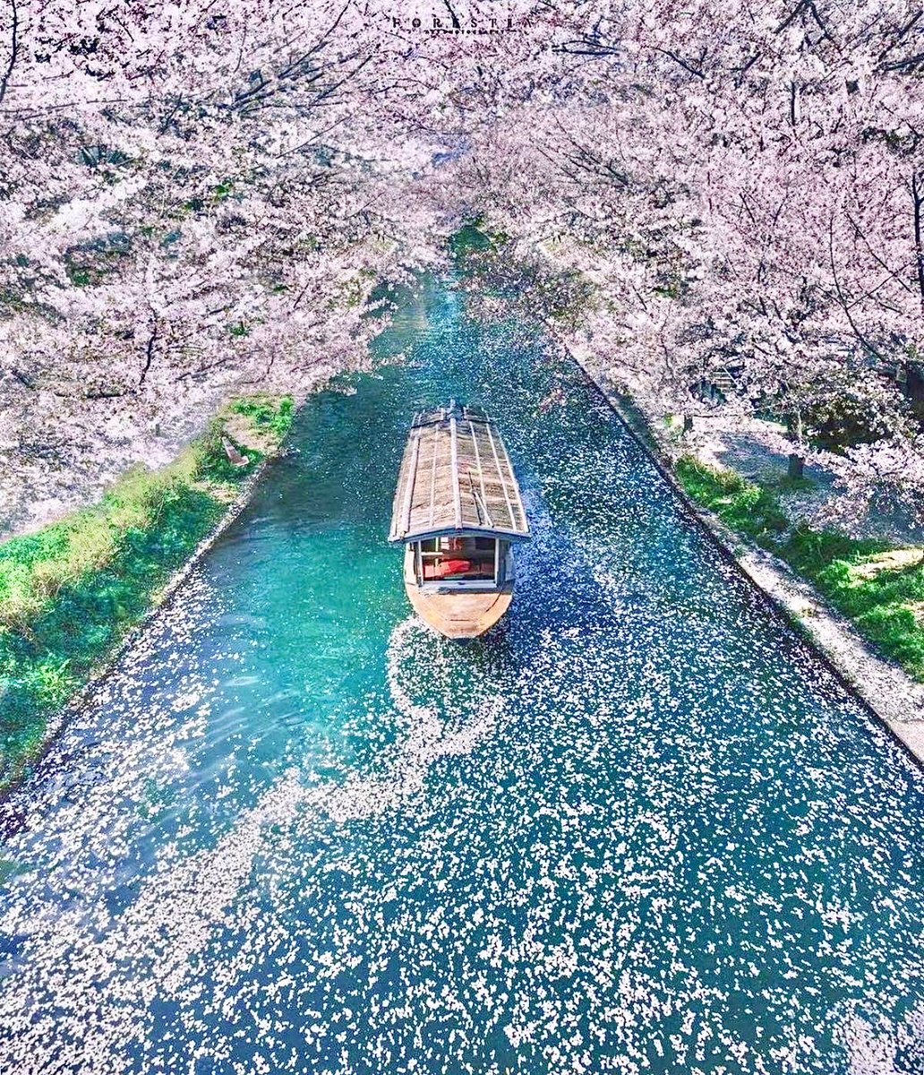 Yuria Yoshimiya tweet media