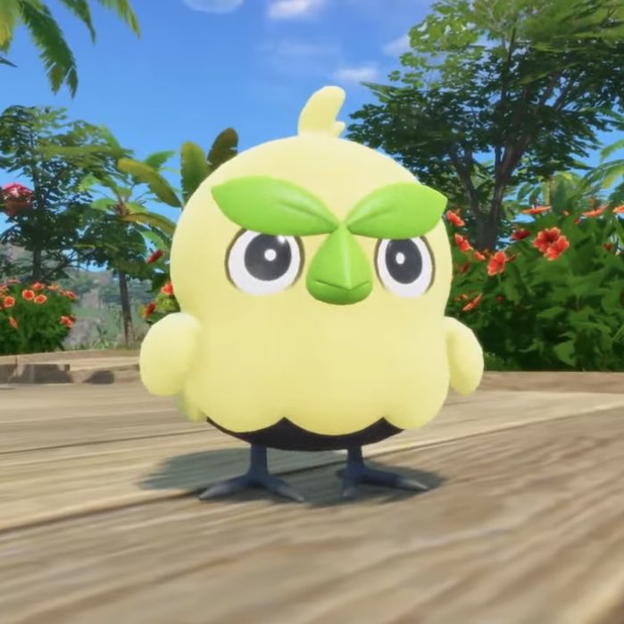 still thinking about how when I first saw him I was like ew ew ew ugly and now im like my precious son who I shall cherish with my life