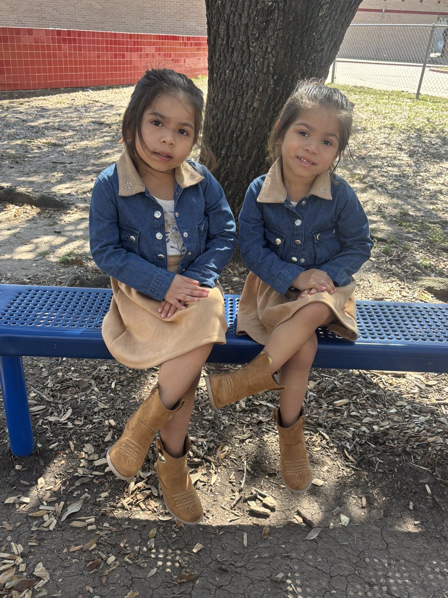 Alejandra Burman tweet media