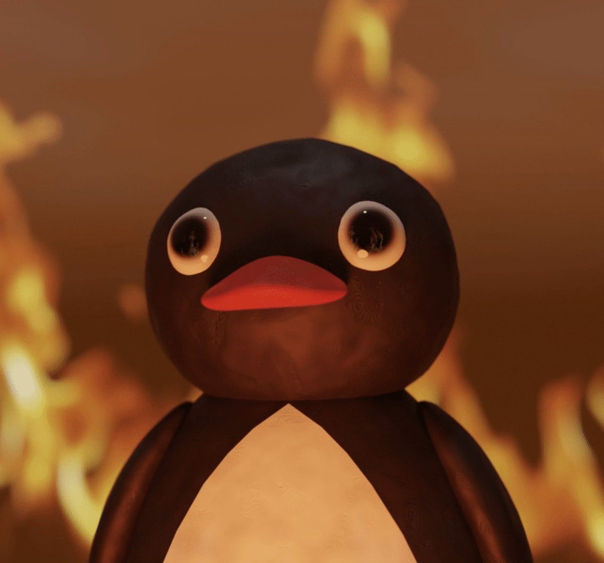 nim chimpsky tweet media