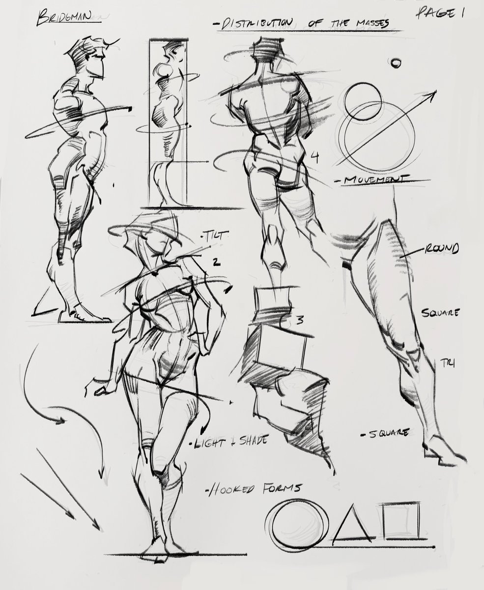 saqomolo's tweet photo. More Bridgman studies! #bridgman #lineart #art #sketches #anatomy #humananatomy #muscles #gottogetbetter #gesturedrawing #figuredrawing #sketchbook https://t.co/6loWdc54A1