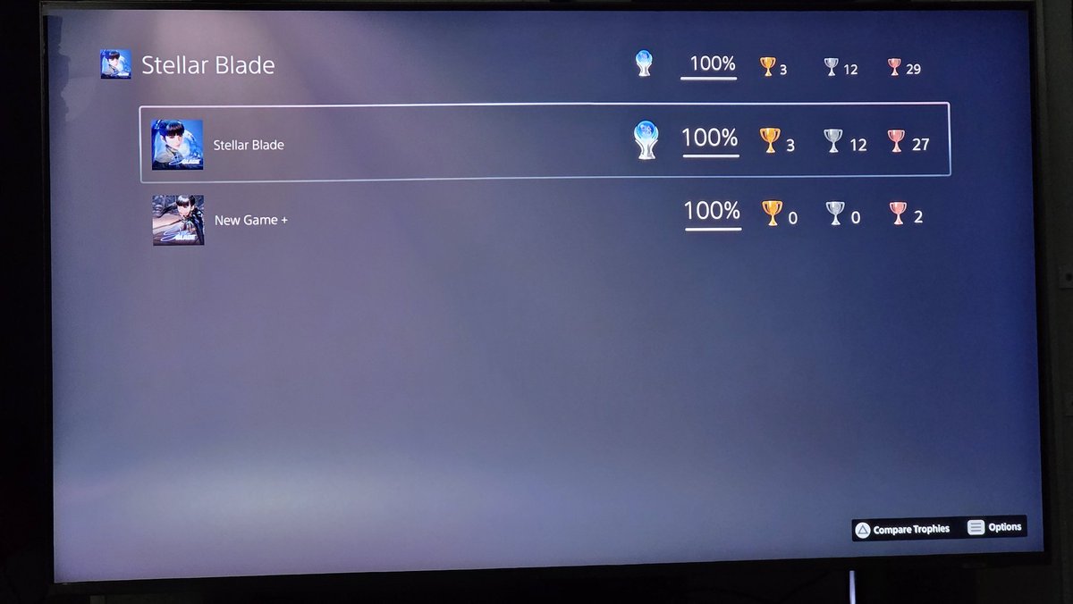 sandpit turtle tweet media