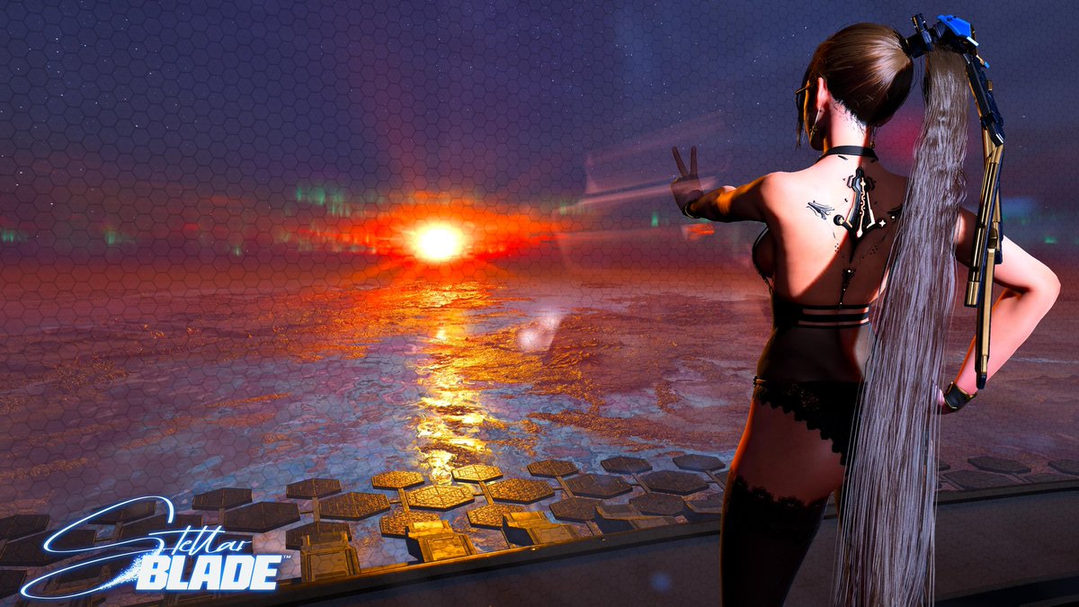 sandpit turtle tweet media