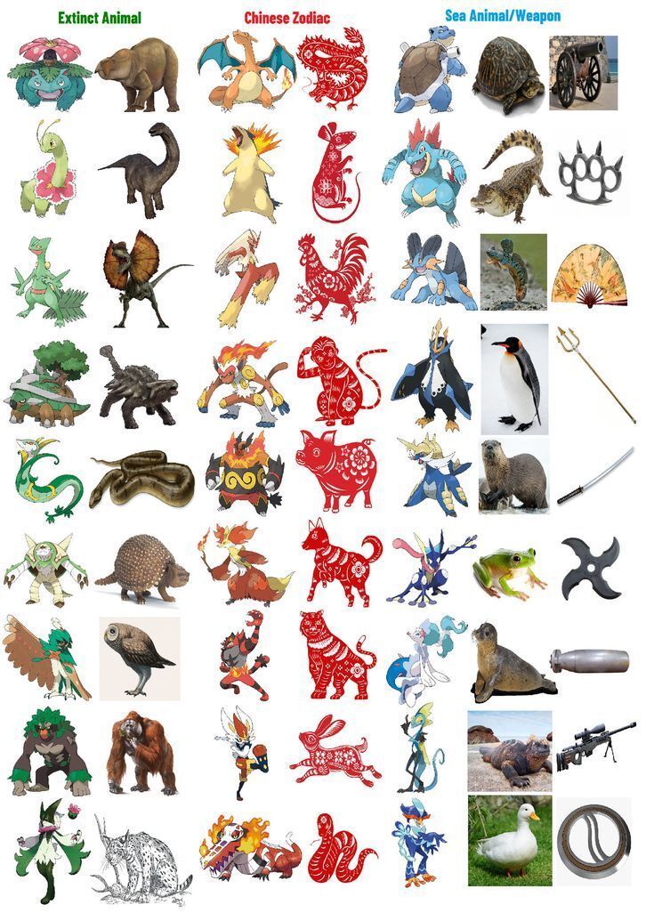 Pokémon Posts tweet media