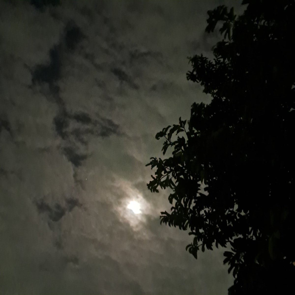 FrasesDoZee's tweet photo. 27 de fevereiro, 20 : 33 h
Após muita chuva, a lua aparece em um espaço entre as nuvens, para mostrar sua beleza

Boa noite !!! https://t.co/QMA9vyAI83