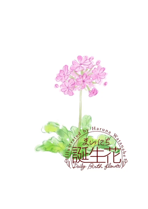 2月28日 サクラソウ 花言葉 初々しい喜び #1日1絵 #まいにち誕生花