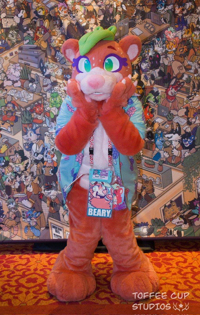 Beary Splash 🔜 TFF tweet media