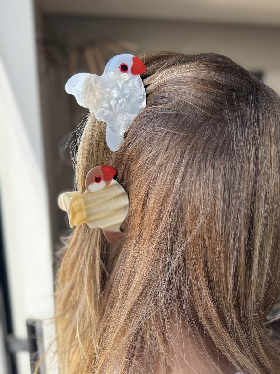 hina_chan29's tweet photo. ✨オンラインショップ販売決定✨
大人気な 小鳥飯団さんの文鳥ヘアクリップを、私のオンラインショップで販売させて頂けることになりました✨

白、シルバー、シナモンさんは、4月中旬くらいから、桜さんは6月以降に追加の予定です。

髪はもちろん、カバンに付けてもとっても可愛い💕
（写真のカバンは @YbTomoko さんのグッズです）

※文鳥クリップの桜と白は、偽物が出回っていて作家さんもとても困っています。
皆さんもお気を付けください🙇‍♂️