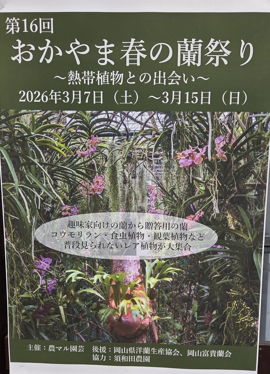 来週末はおかやま春の蘭祭り！ 会場は農マル園芸吉備路、入場無料