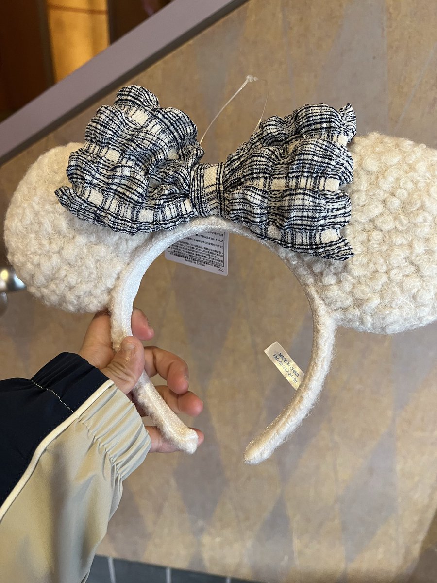 爆速舞浜チャレンジしてきた 8時12分改札口出る お目当ての