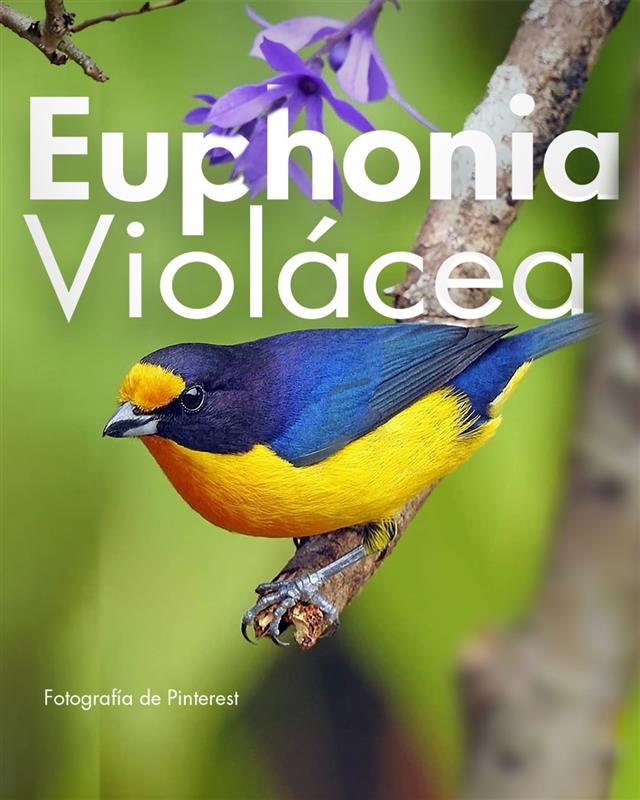 Colombia tweet media