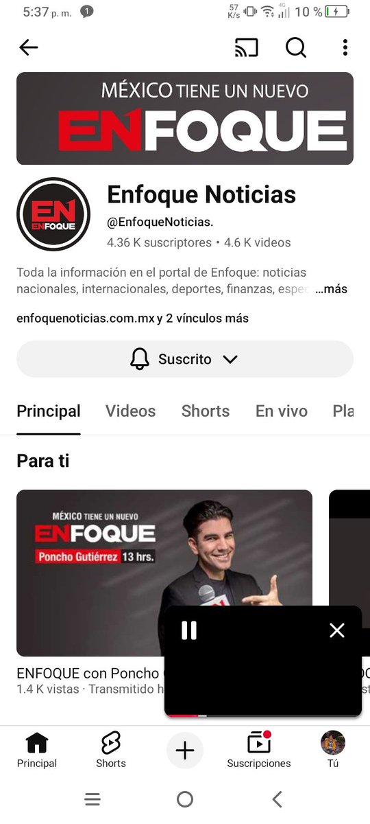 Feli-Pillo tweet media