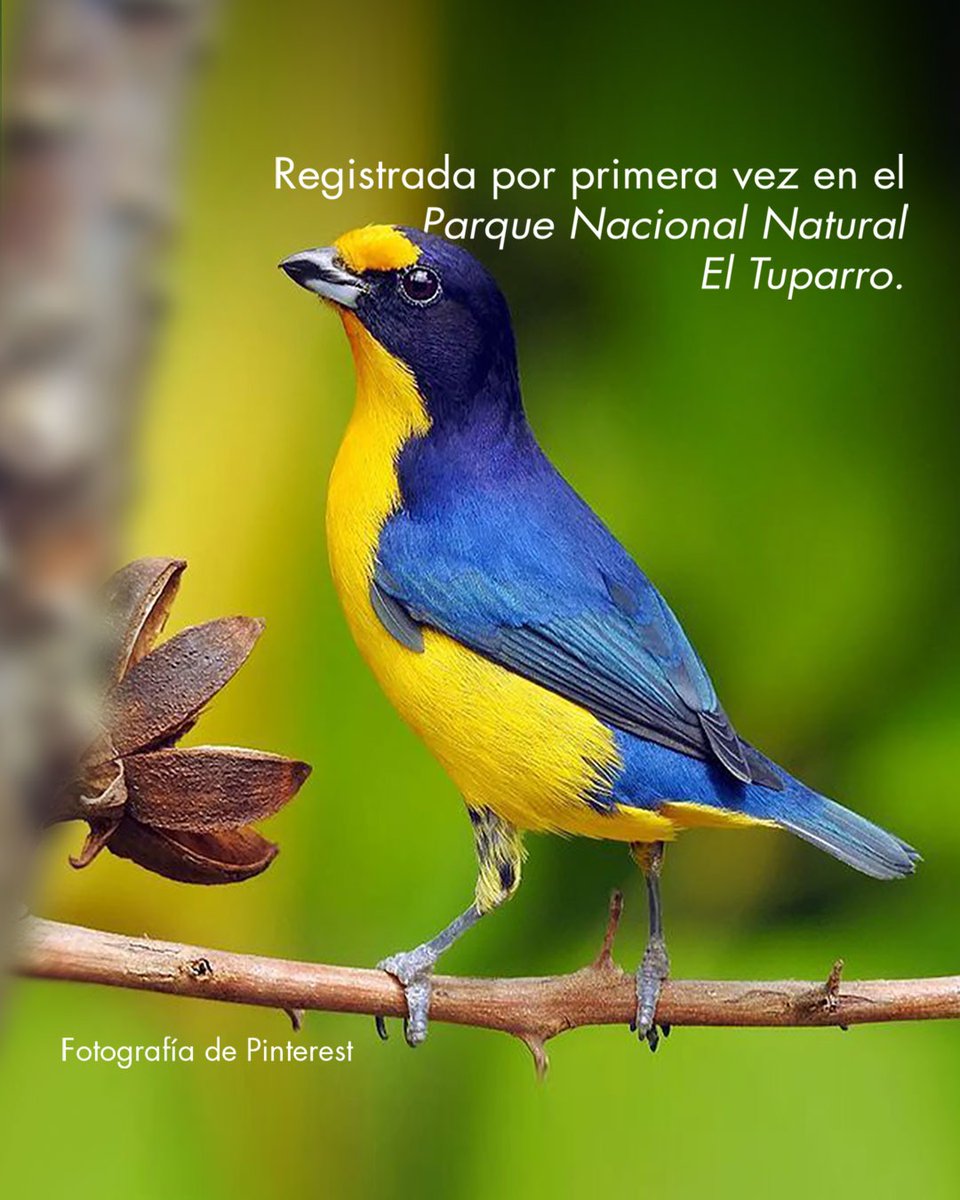 Colombia tweet media