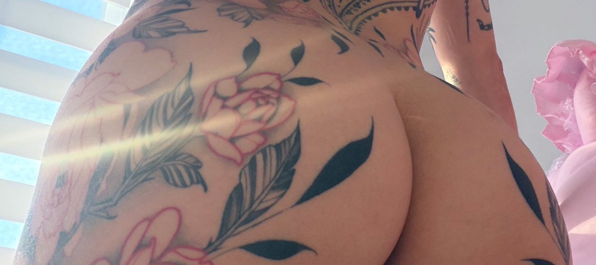 🎀 a knee meow 🎀 FREE OF tweet media