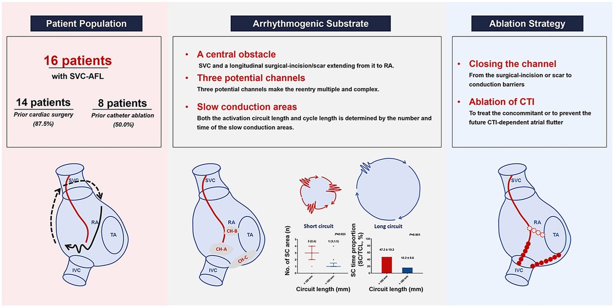 HeartRhythm tweet media