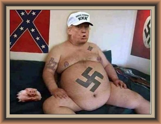 Lyn 🦋 🌊 💙 REMOVE THE TRUMP REGIME tweet media