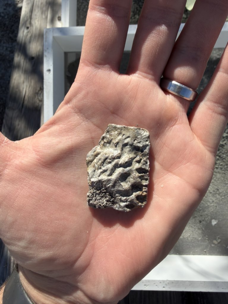 Adam Marsh tweet media