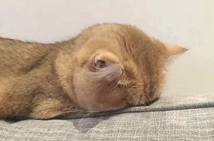 ☆چشم چرون⁷٭Jk٭ tweet media