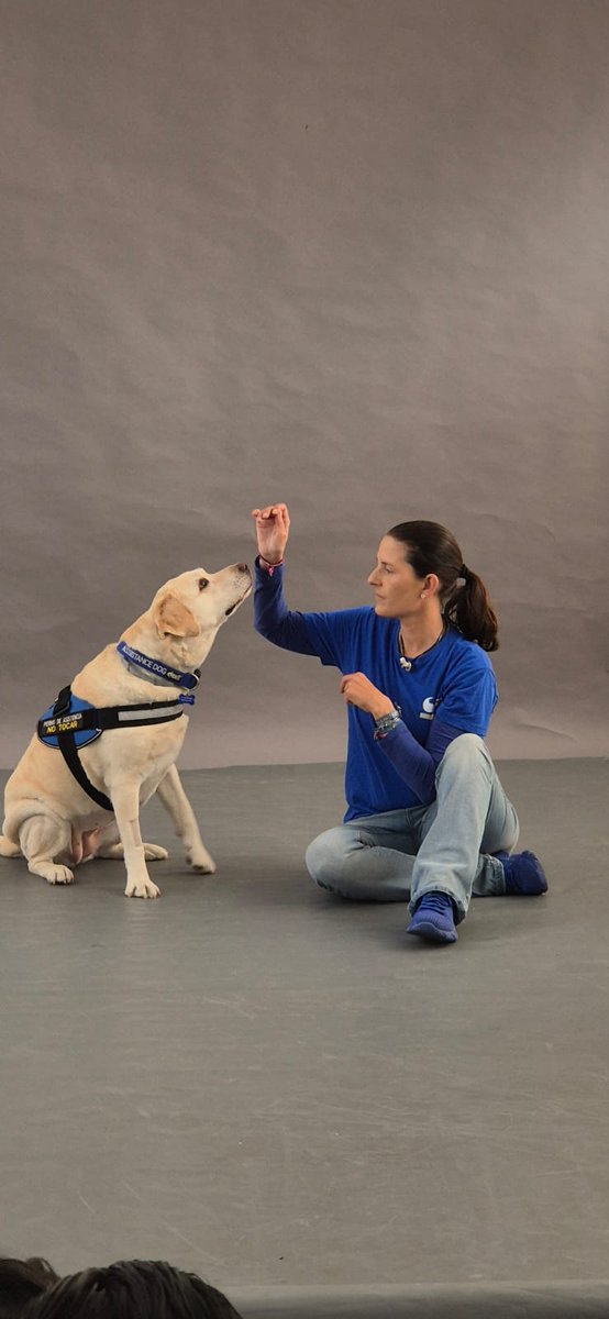 Meri DISCAN tweet media