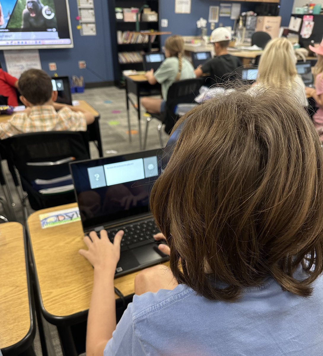 Amy Storer tweet media