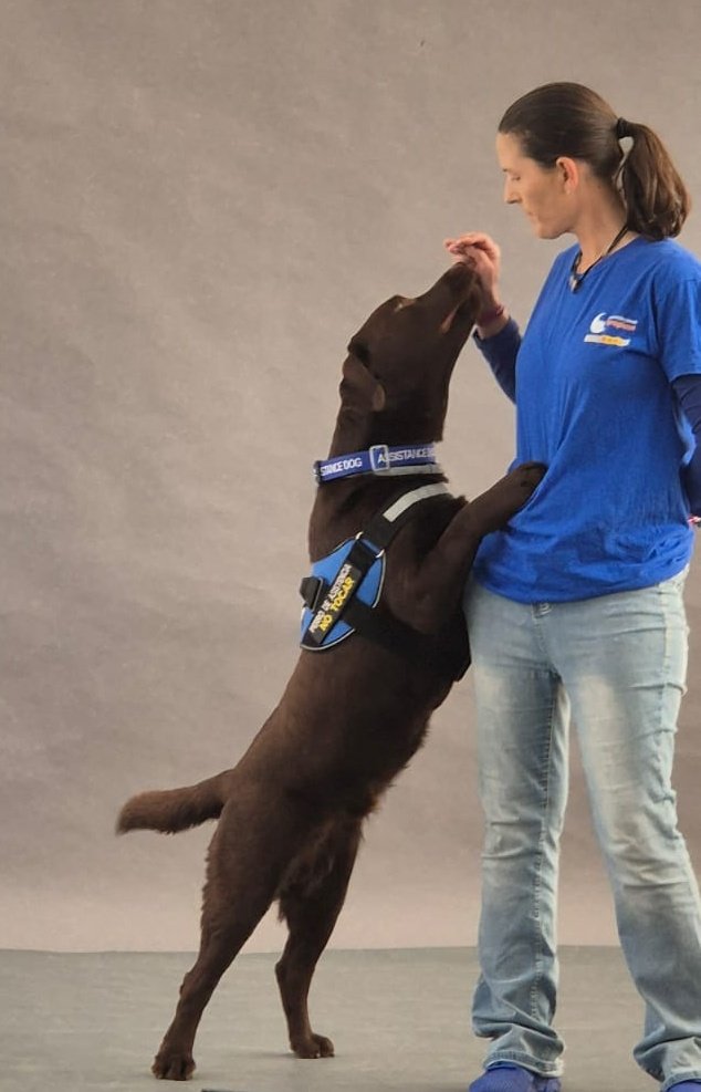 Meri DISCAN tweet media