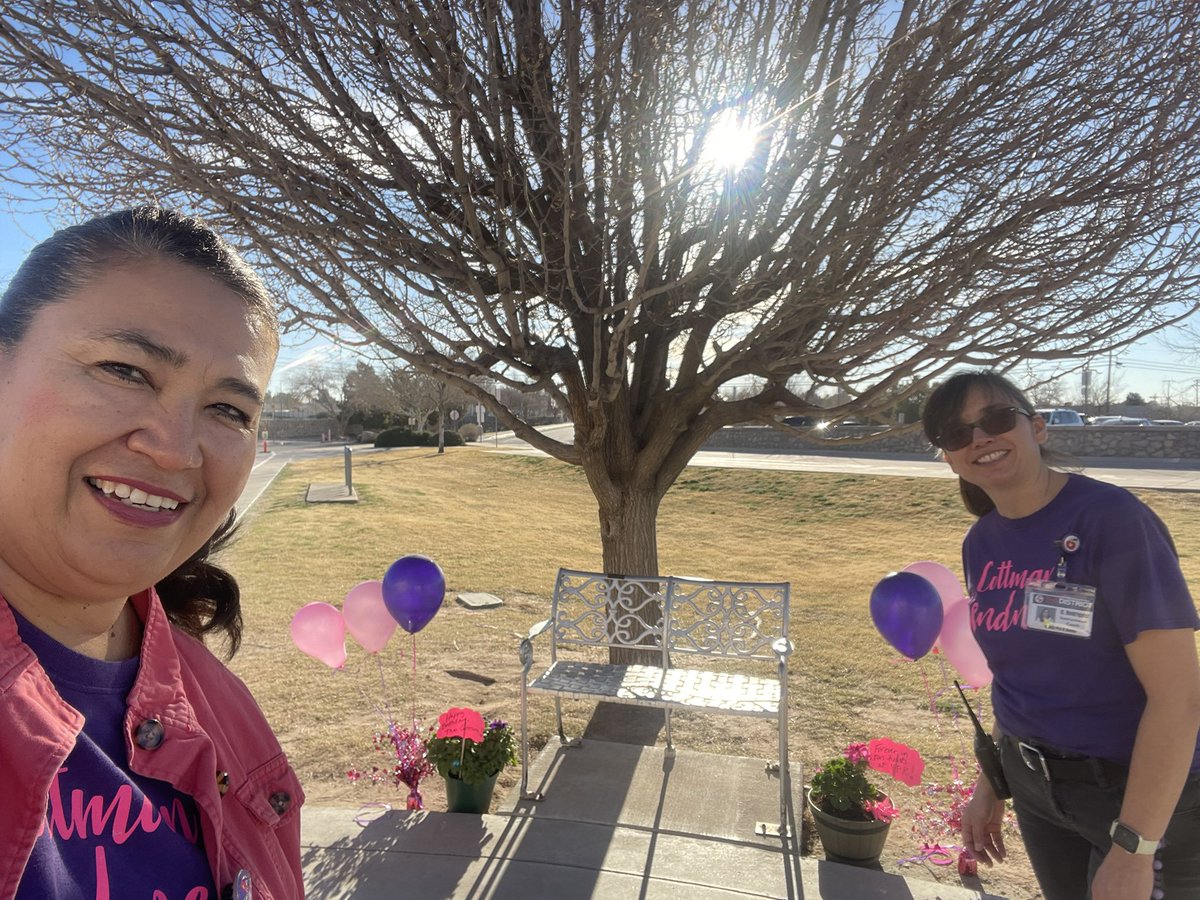 YsletaPreKLibrary tweet media