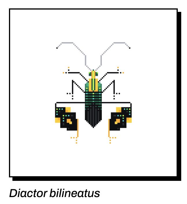 shilonious tweet media