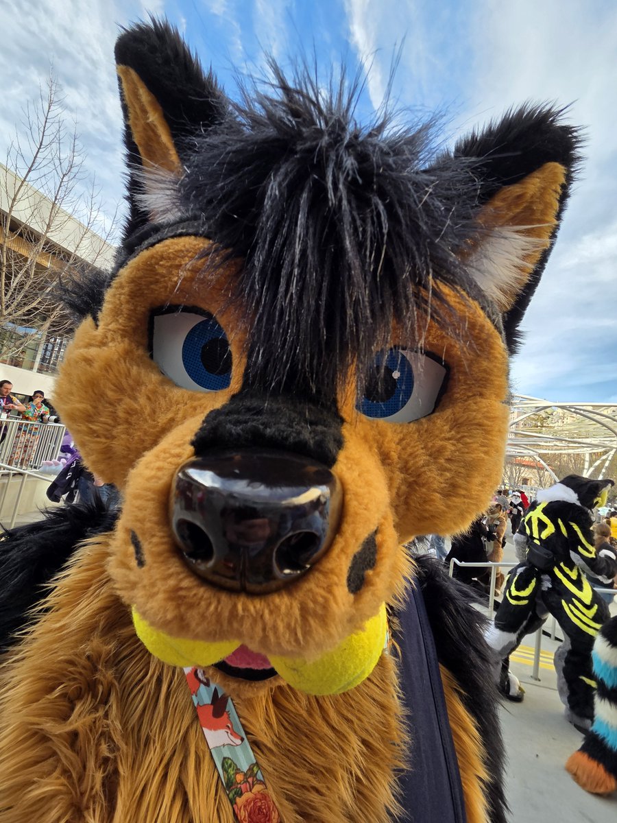 Frontrox tweet media