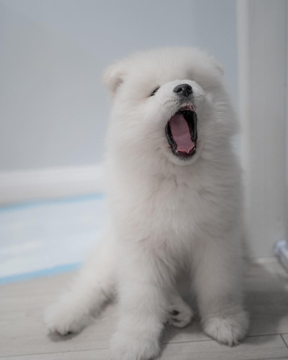 숨막히는 곡률 대결