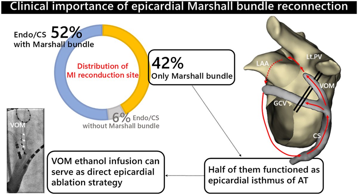 HeartRhythm tweet media