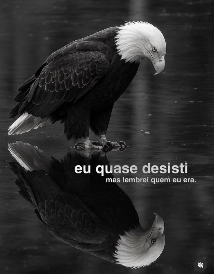 Pare, descanse, mas não desista. 
A vitória é sua, pelo sangue de Jesus.
