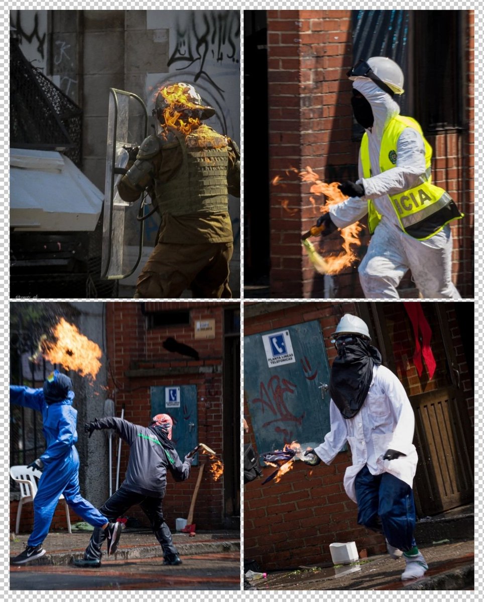 Voy a votar por el que ordene capturar a estos Terroristas de las universidades y mandarlos a la cárcel 🤨