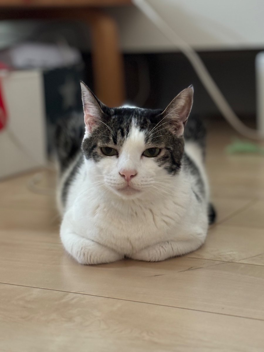 美波 (@9fdTJfsAACGnBqR) / Posts / X