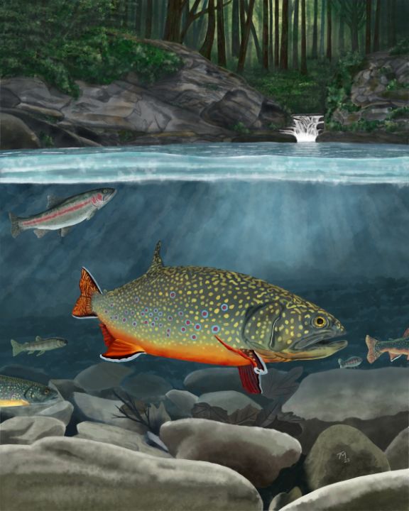 Tony McCall tweet media