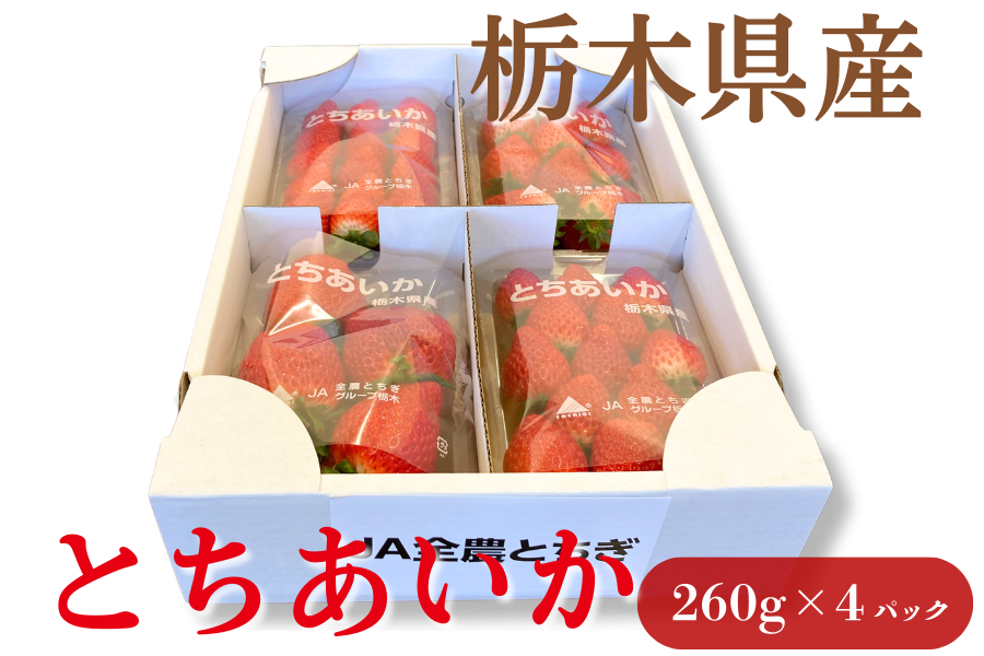 栃木県のいちご「とちあいか」をご紹介🍓 濃厚な甘みと程よい酸味が