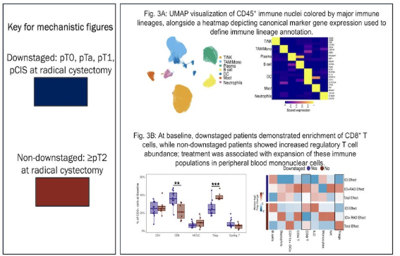 UroToday.com tweet media