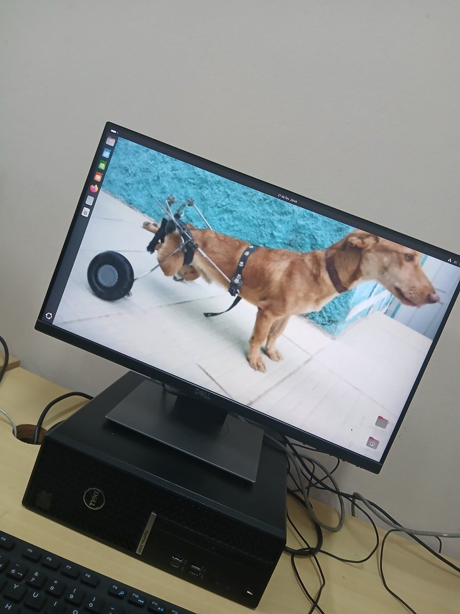 satfedorento's tweet photo. muito legal os pc do if https://t.co/ECe68Je8yn
