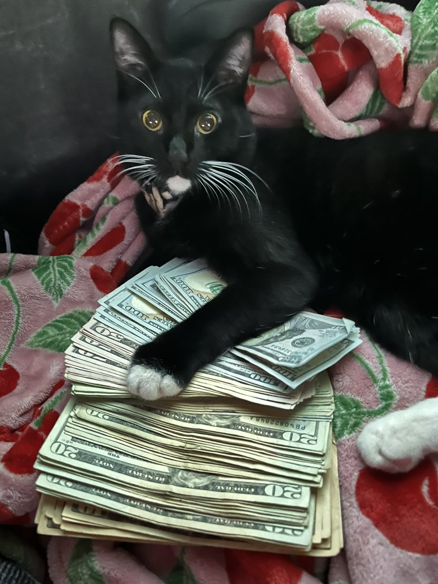 Kuromi , My million dolla baby 💙💫