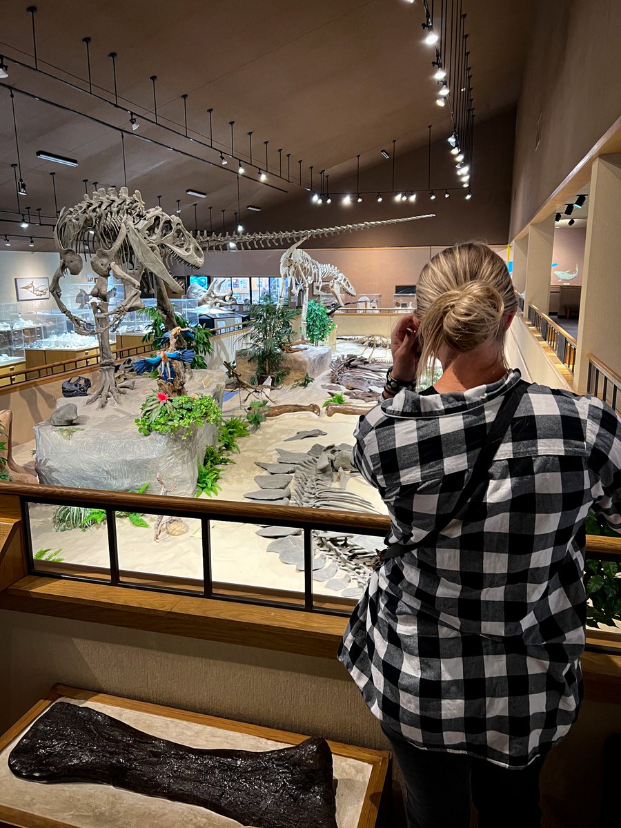 NorthDakota's tweet photo. Dino fans, this is a must-see! 🦖

At the Dickinson Museum Center, you can:
- See a world-class Triceratops skull
- View 11 full-scale skeletons
- Watch paleontologists work on real fossils

Get to know it a little better here: https://t.co/2Xdgy6Ks0R https://t.co/rmQKSFV6Qb