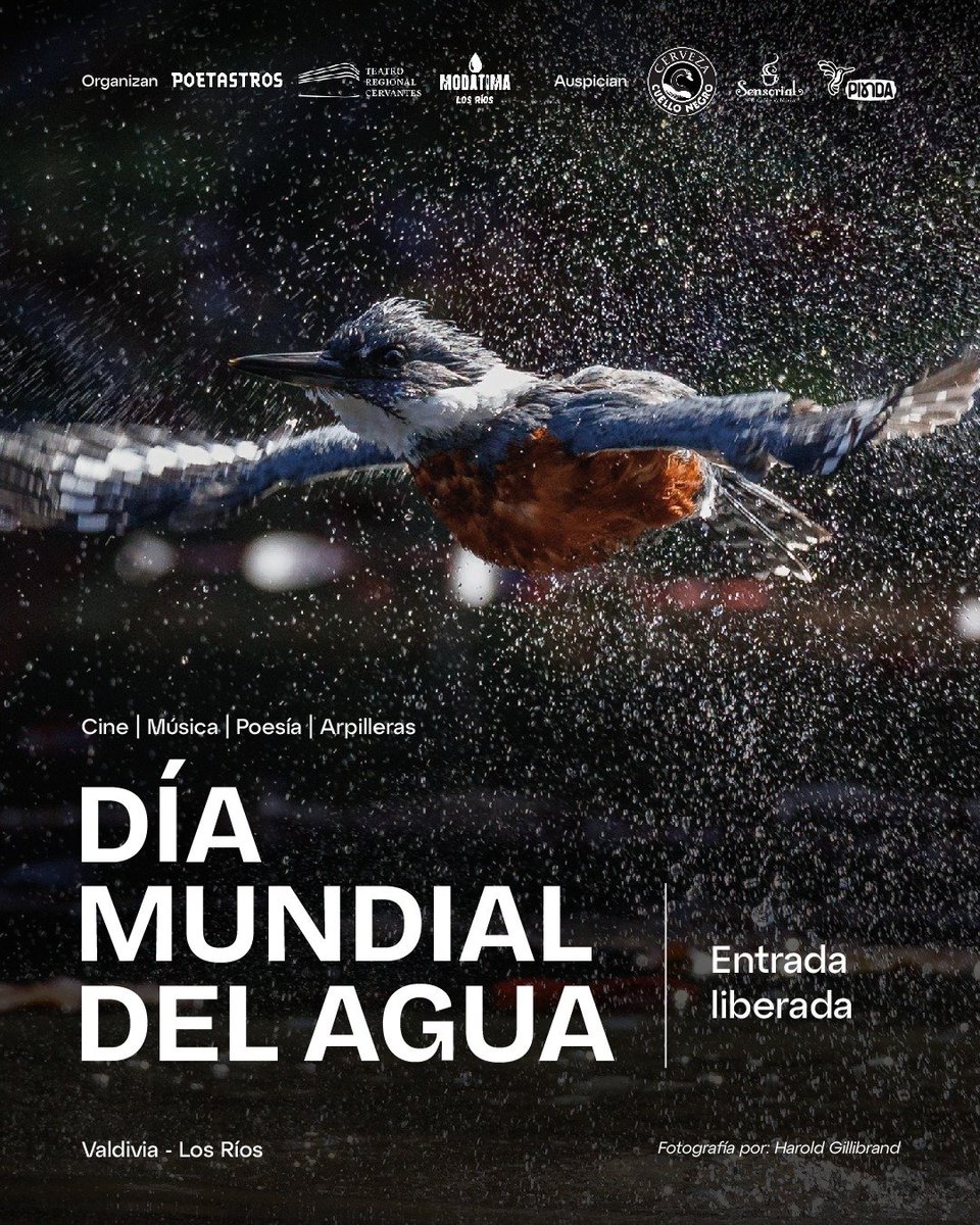 Chamila Rodríguez tweet media