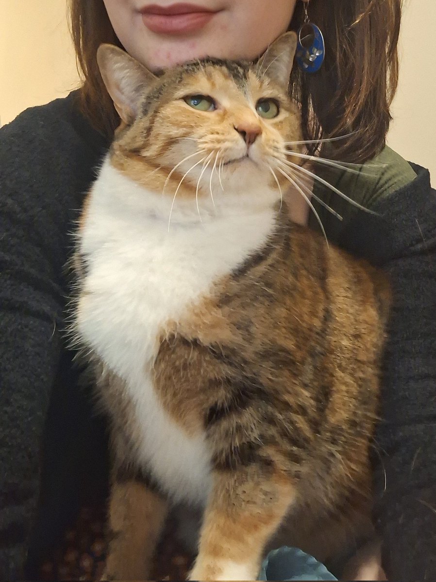 Molly World tweet media