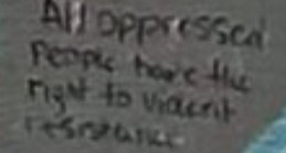 🏳️⚧️ 𝚅𝚎𝚎 🏳️⚧️ tweet media