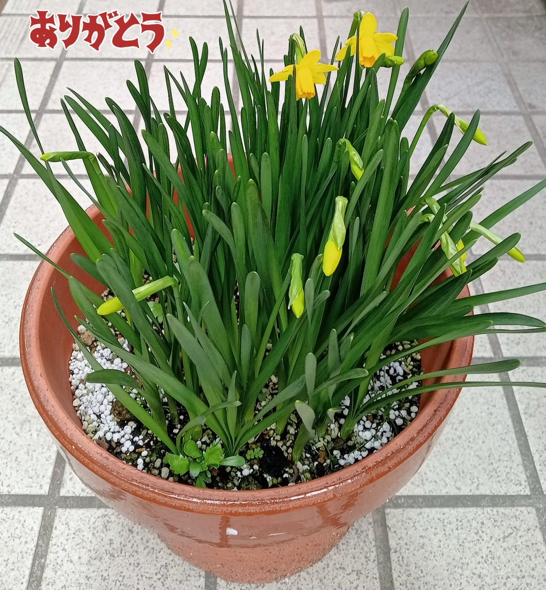 Club9開設5周年おめでとうございます🎉 山Pをもっと知りたくて作ったX