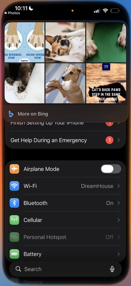 Rob Paddock tweet media