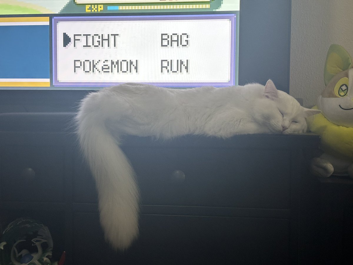 A wild Zelda appeared!