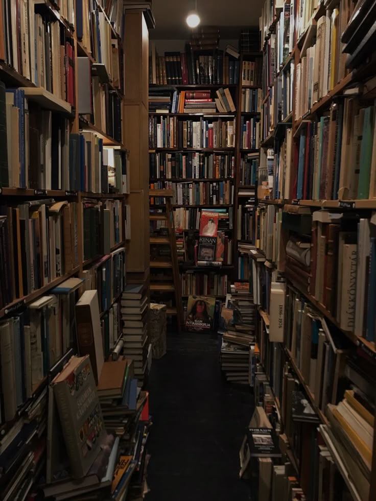 mand 🦇 tweet media