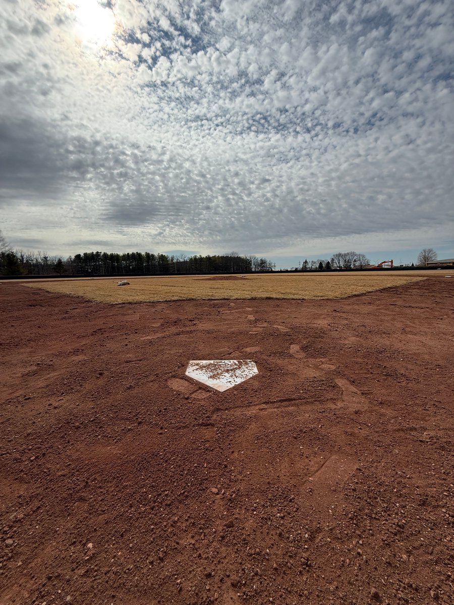 IC T-Wolves ™ tweet media