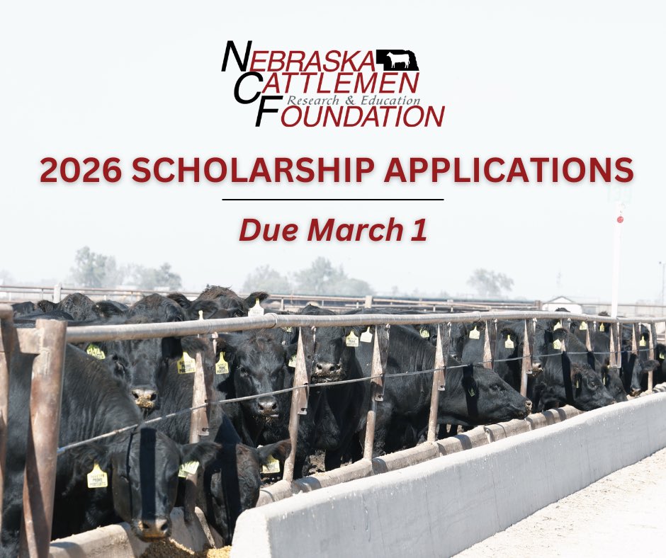 Nebraska Cattlemen® tweet media