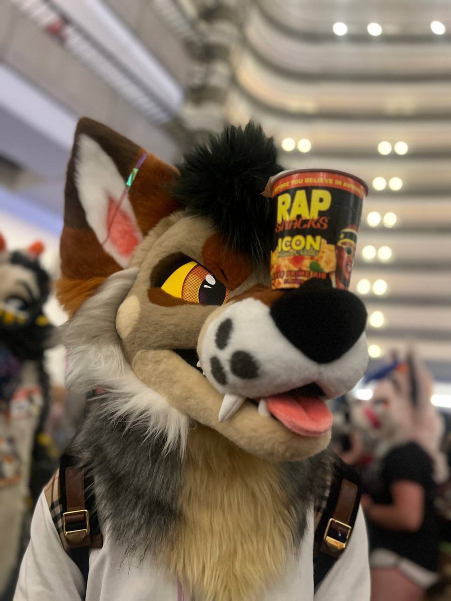 𓃥 Churro 𓃥 tweet media