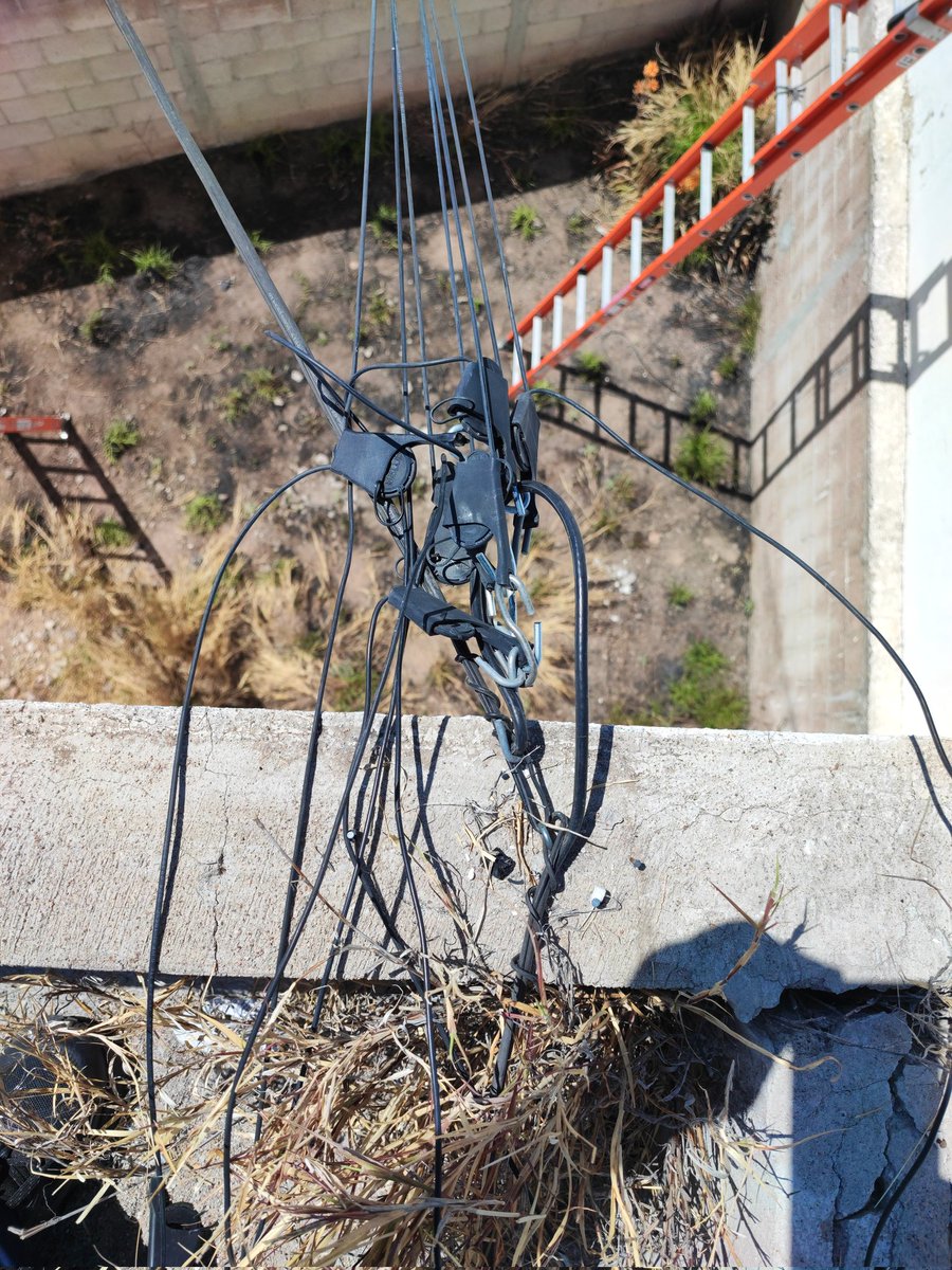YIMoMa's tweet photo. @TELMEXSoluciona @CRTGobMX @totalplaymx @RicardoBSalinas @infinitum @arturoelias @PPmerino @CRTGobMX #AyudaCiudadana 
Falta que @infinitum @TELMEXSoluciona @arturoelias retiren sus cables de la propiedad privada y que tanto ellos como @totalplaymx @RomoKuri @RicardoBSalinas reparen los daños. https://t.co/a9vvCsvkJV